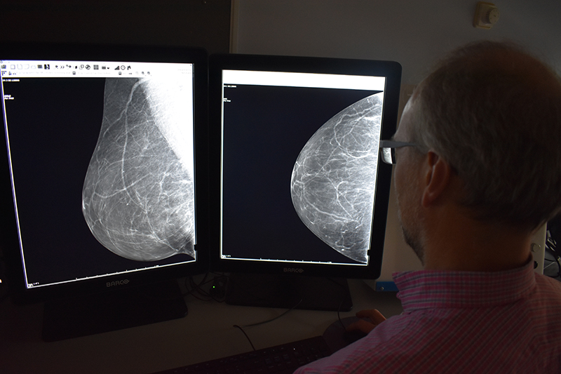 boudicca appeal image